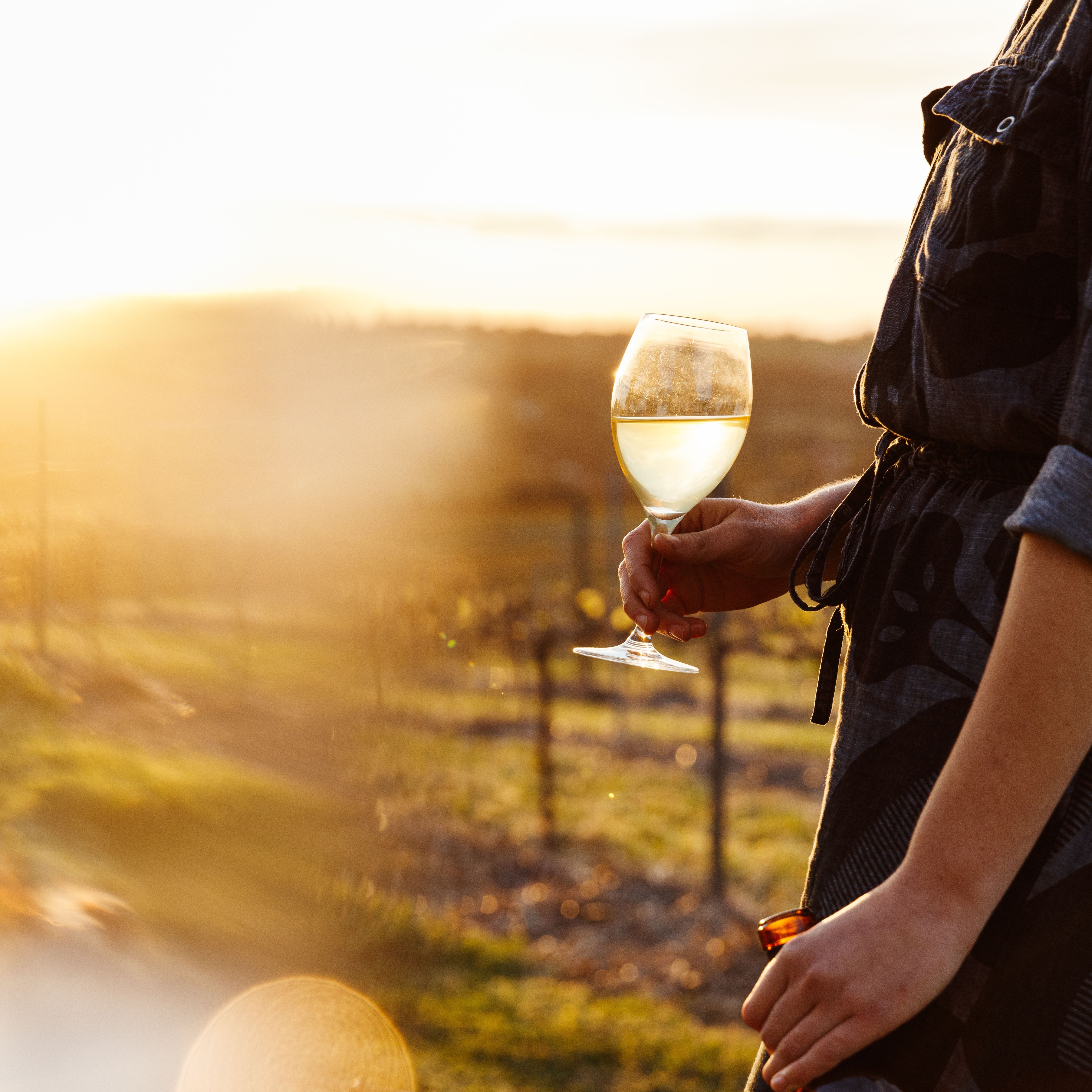 Clare Valley wineries and cellar doors