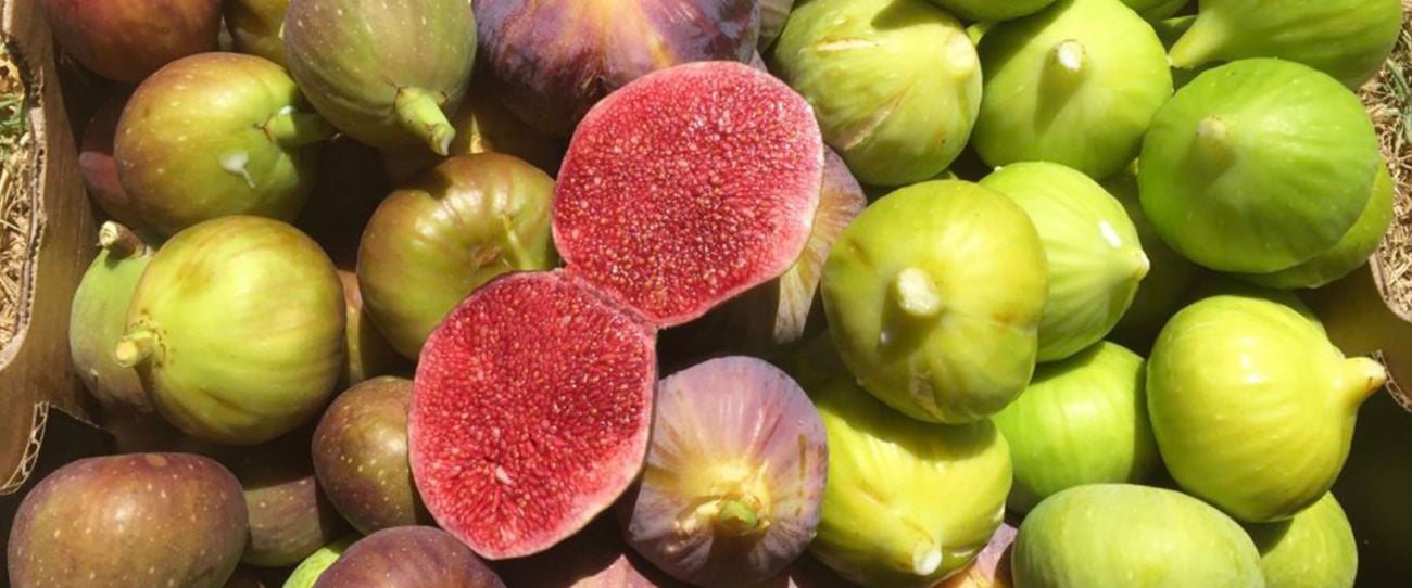 Willabrand Figs
