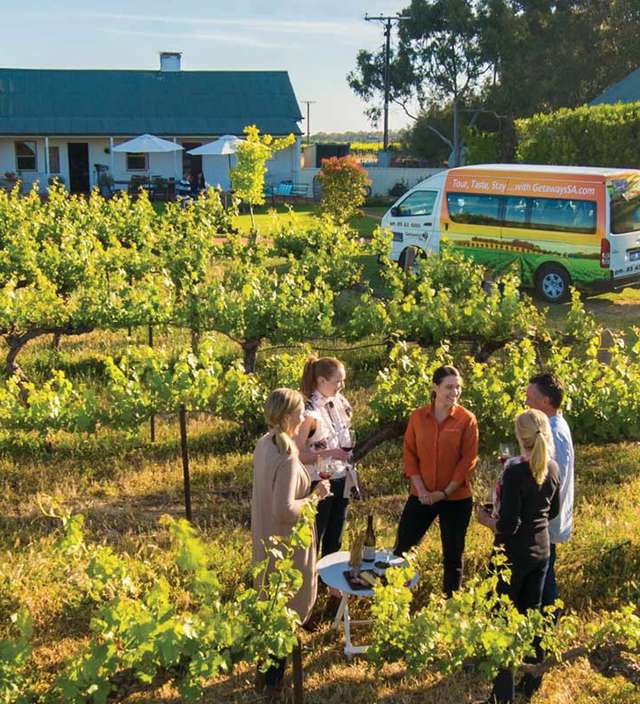 Tours in the Barossa
