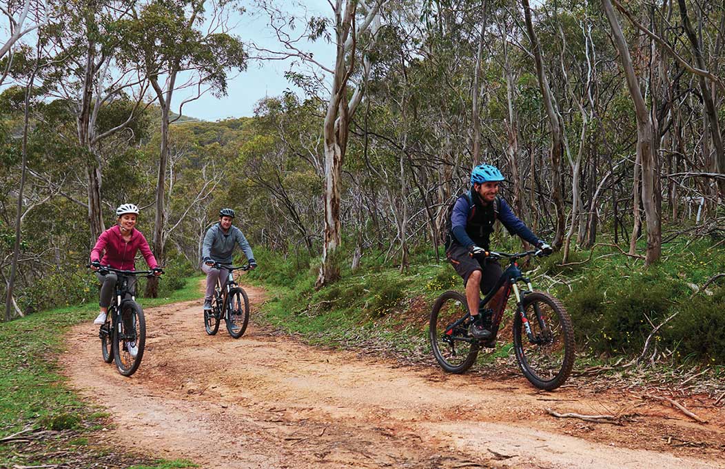 Tours in the Adelaide Hills