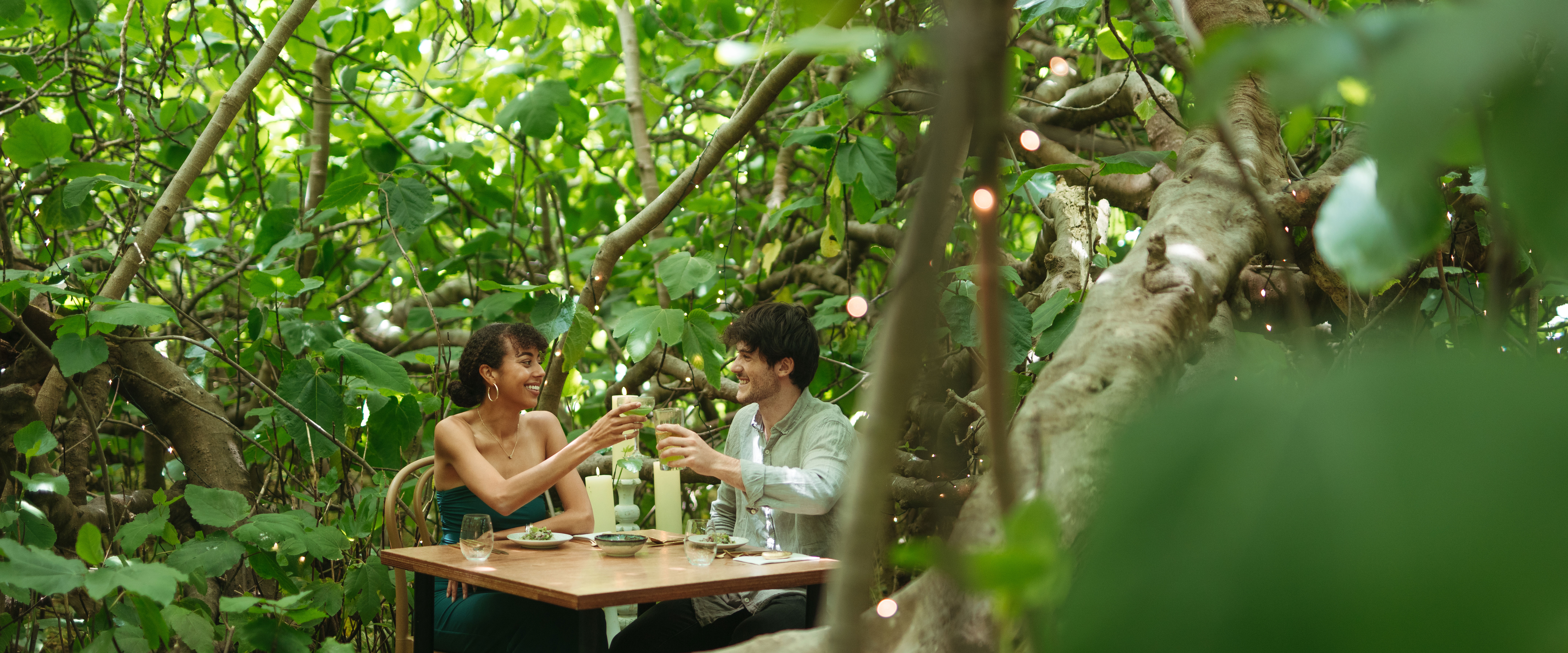 Enchantedfigtree November 2022 DHB 43