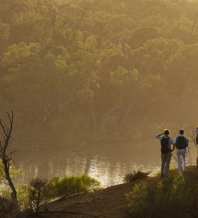 A Complete Guide to the Murray River Walk
