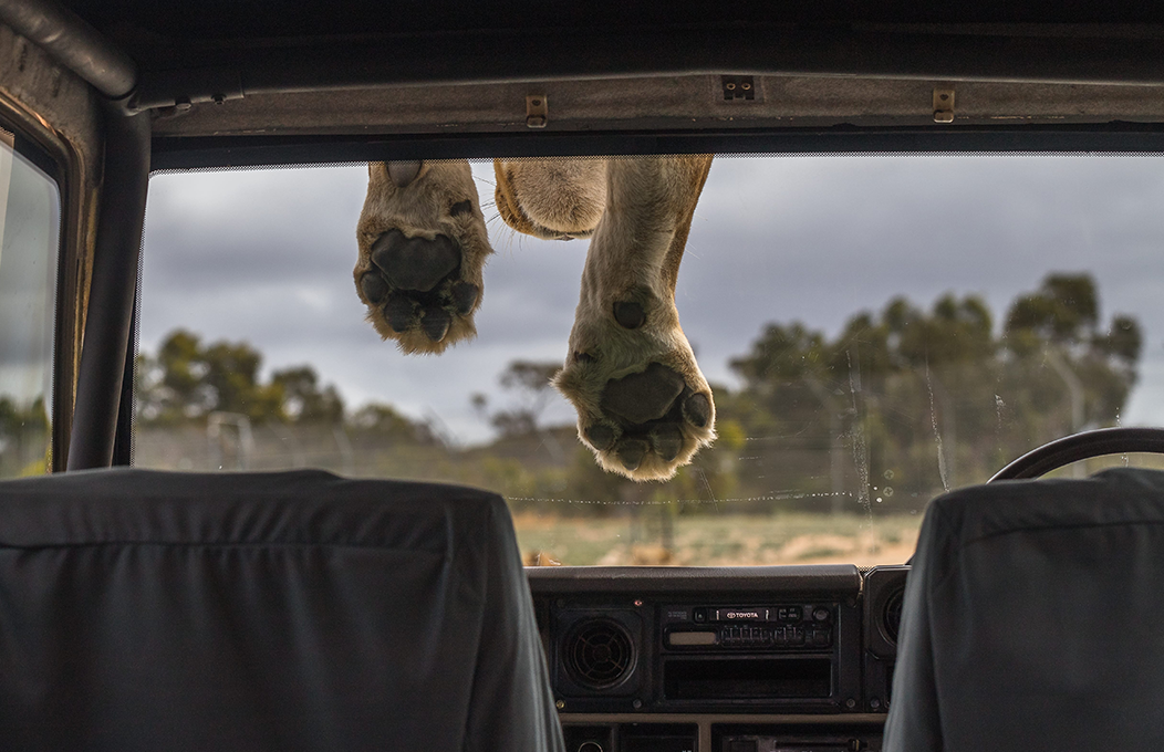 Murray River, Lakes and Coorong