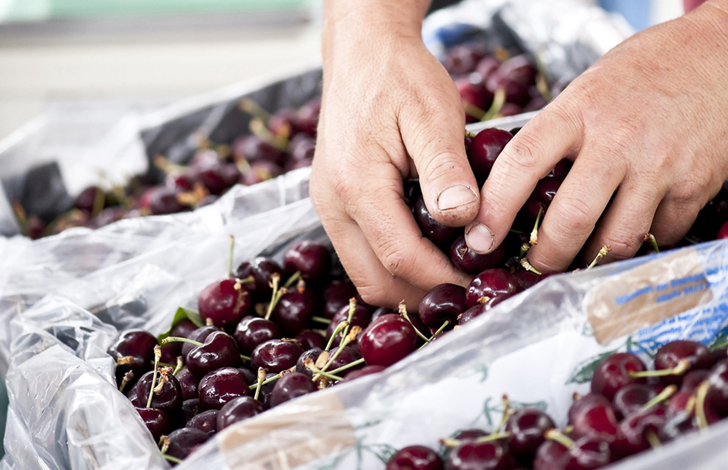 Shopping in the Fleurieu Peninsula