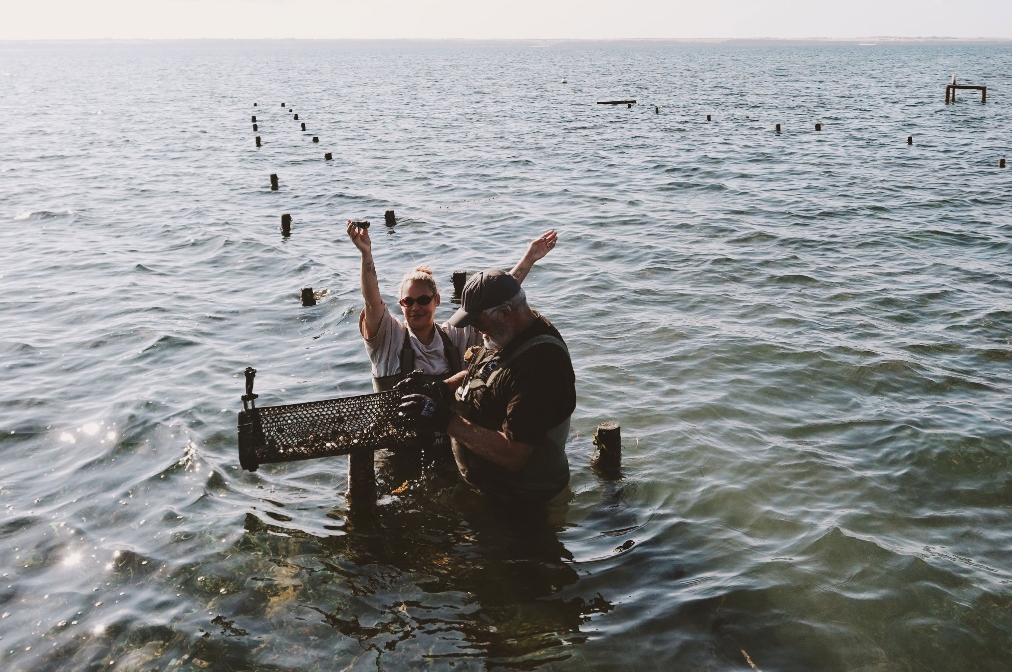 YP Pacific Estate Oyster Allira Potter 2028X1347