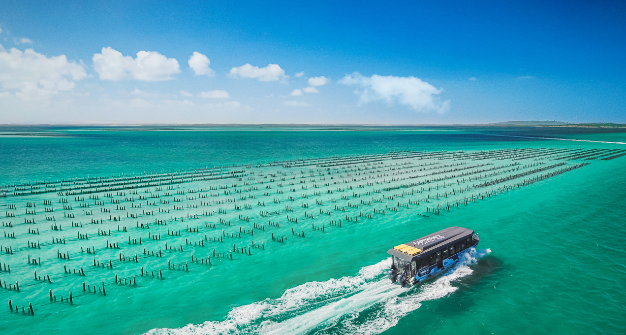 Eyre Peninsula Escape