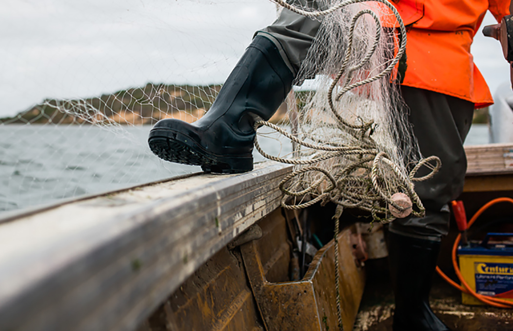 Best fishing in South Australia