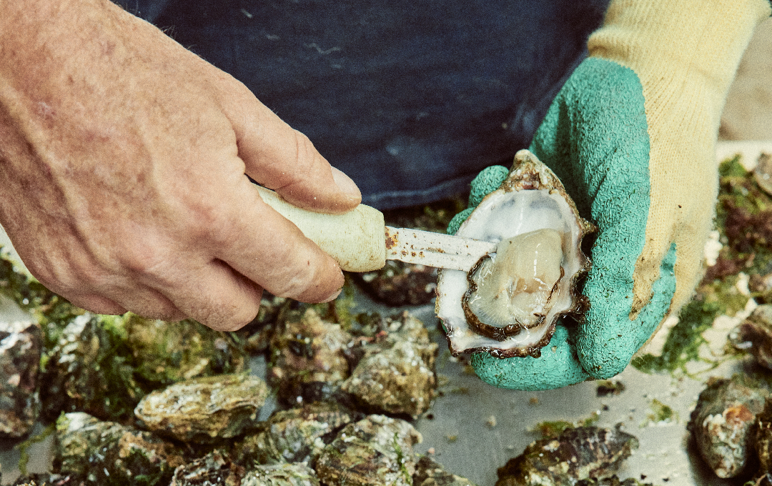 Things to do in American River