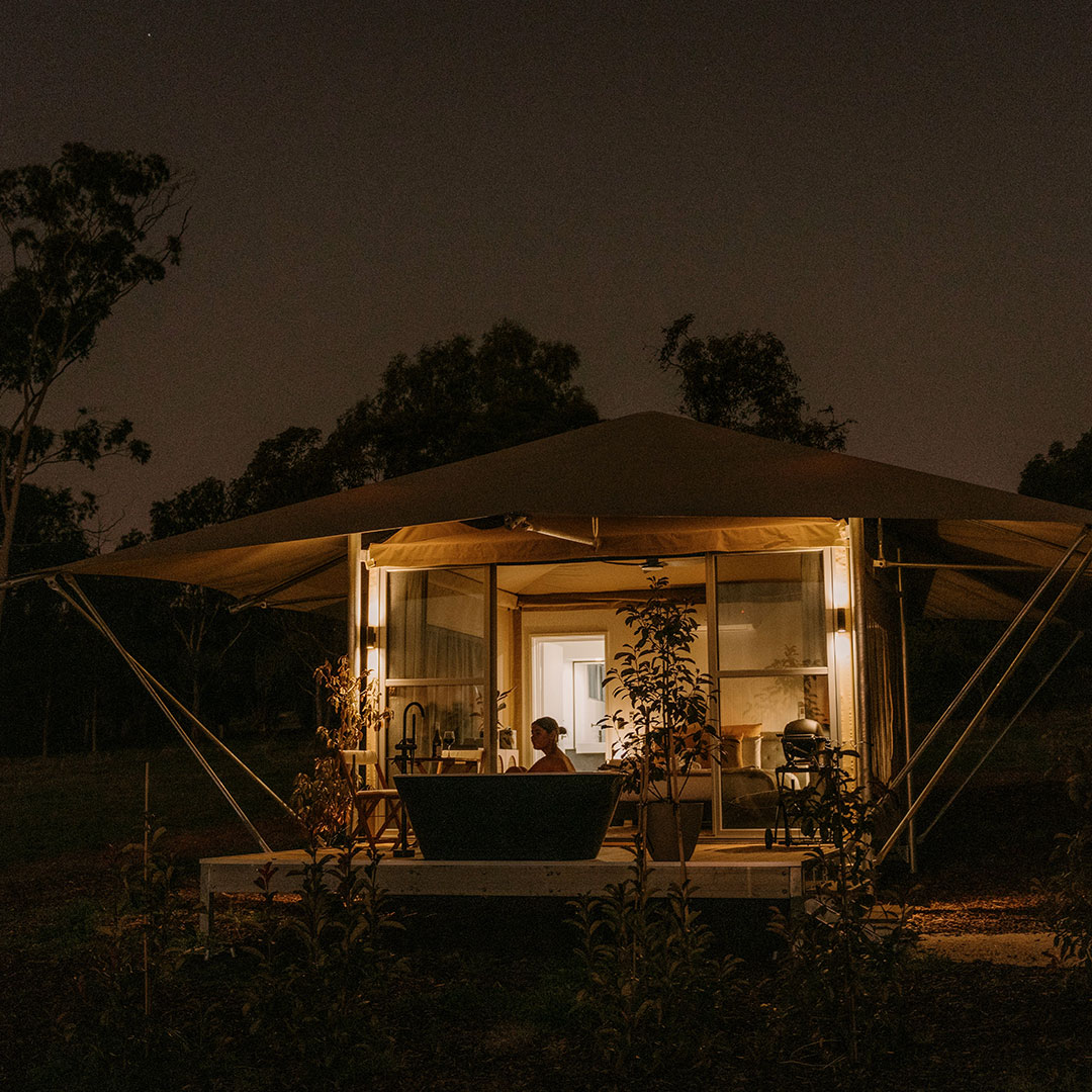 BAROSSA CANVS 1080X1080 02