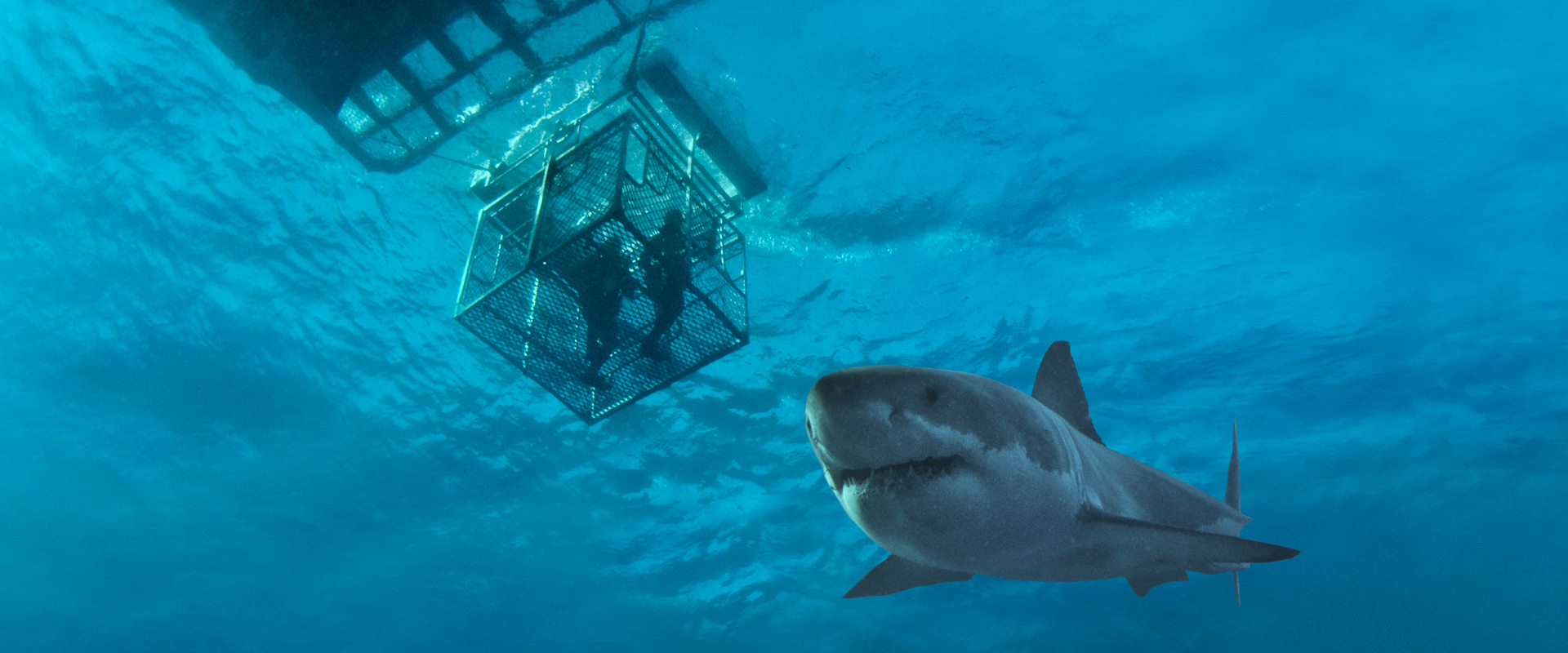 Welcome to South Australia