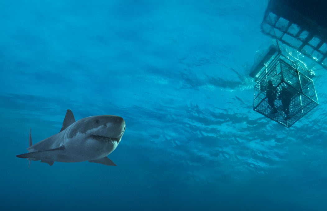 inventors of shark cage diving 