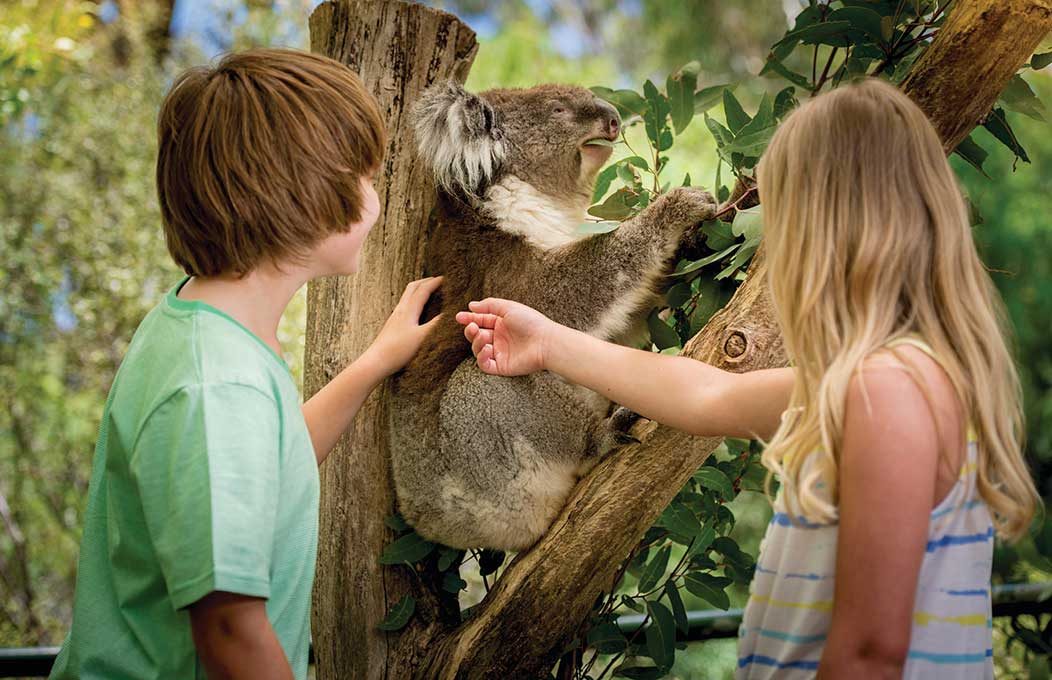 Kids and family activities in the Adelaide Hills