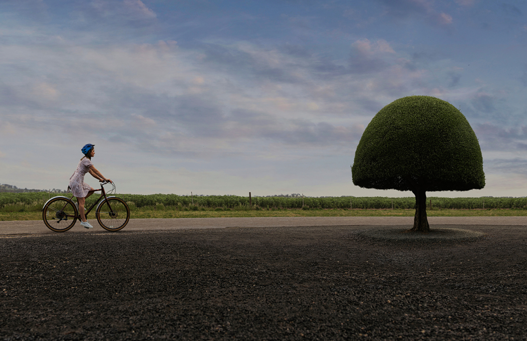 SATC 1052X680 RIESLING TRAIL 2