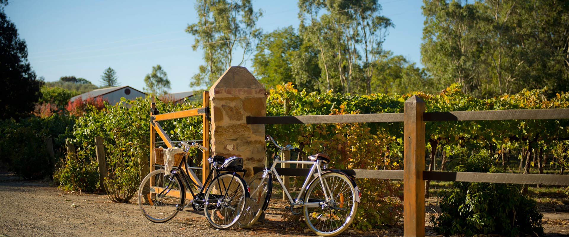 Clare Valley Riesling Trail Map Cycling The Riesling Trail | South Australia