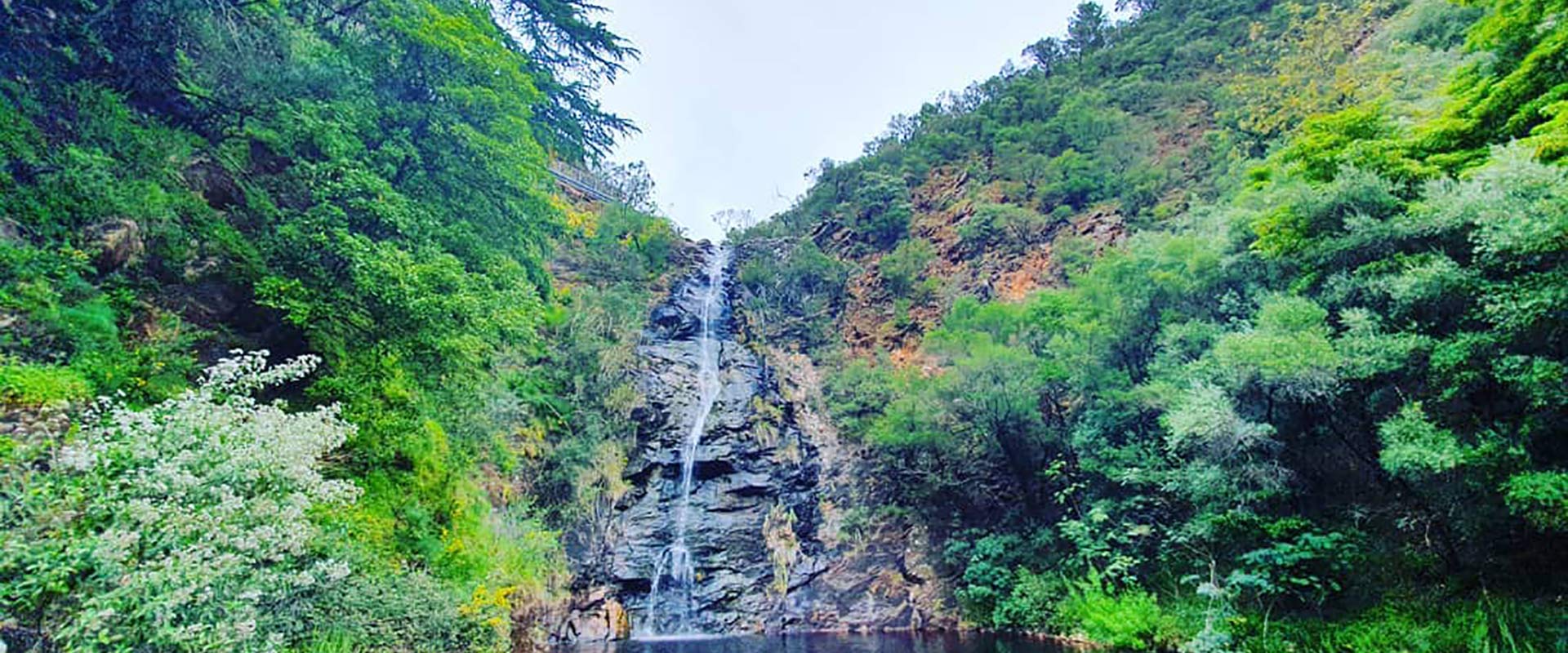 Waterfall Gully @iamghummakadchhorii