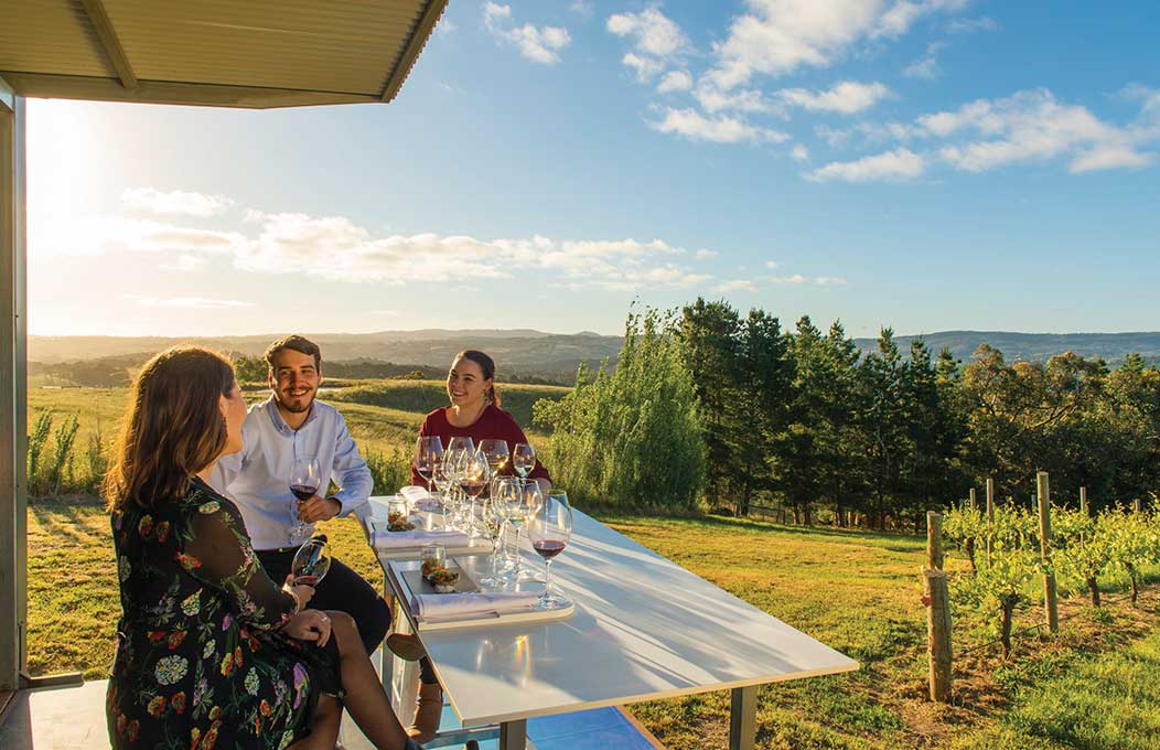 The Lane Vineyard, Adelaide Hills