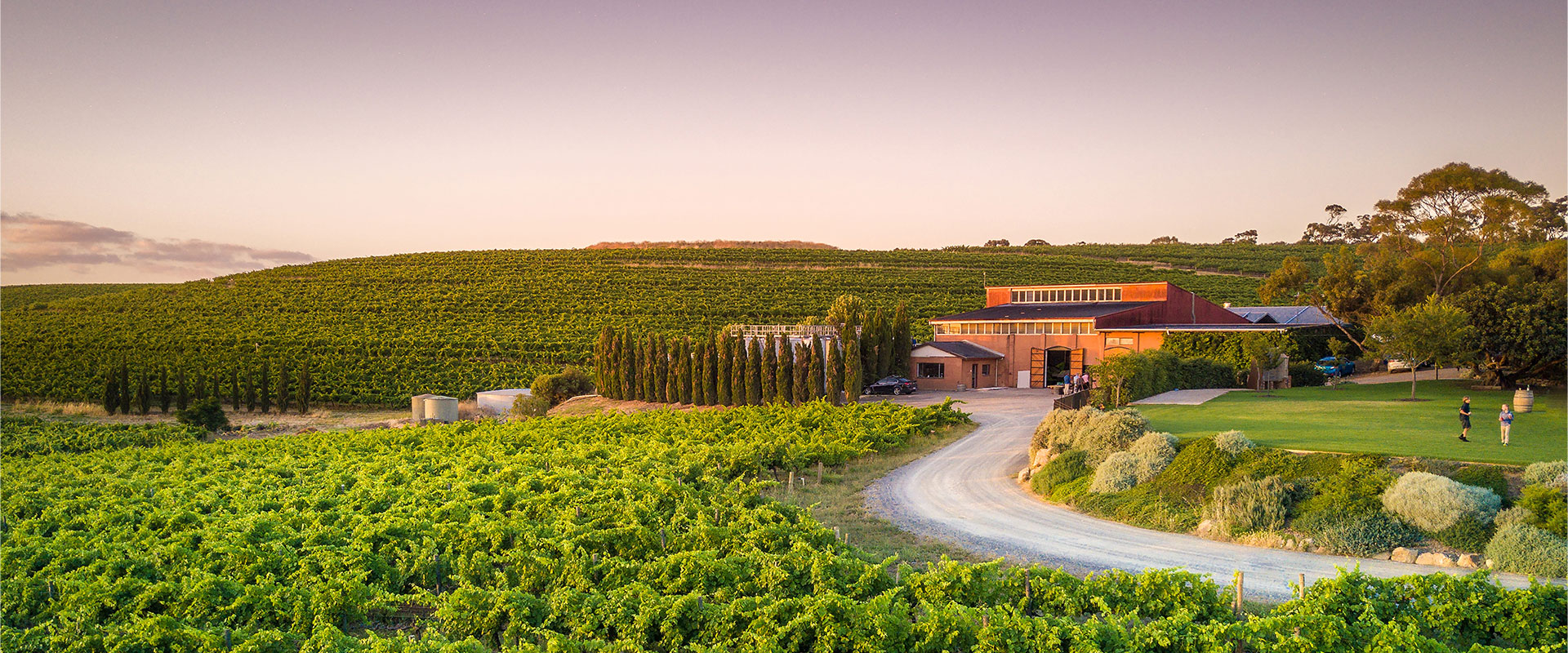Coriole Vineyards, McLaren Vale 