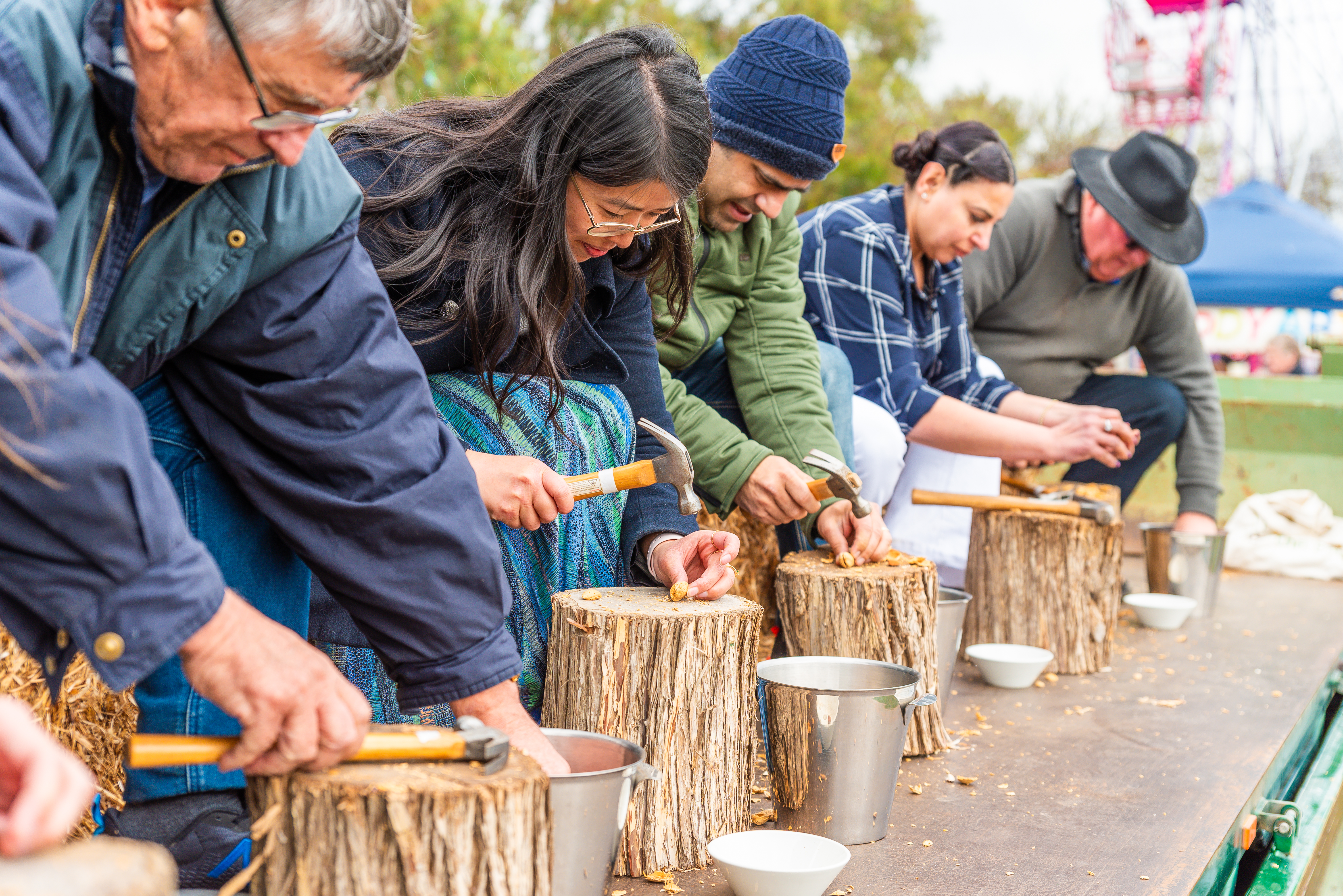 A group of visitors crunching almonds with a small hammer on a small tree trunk.