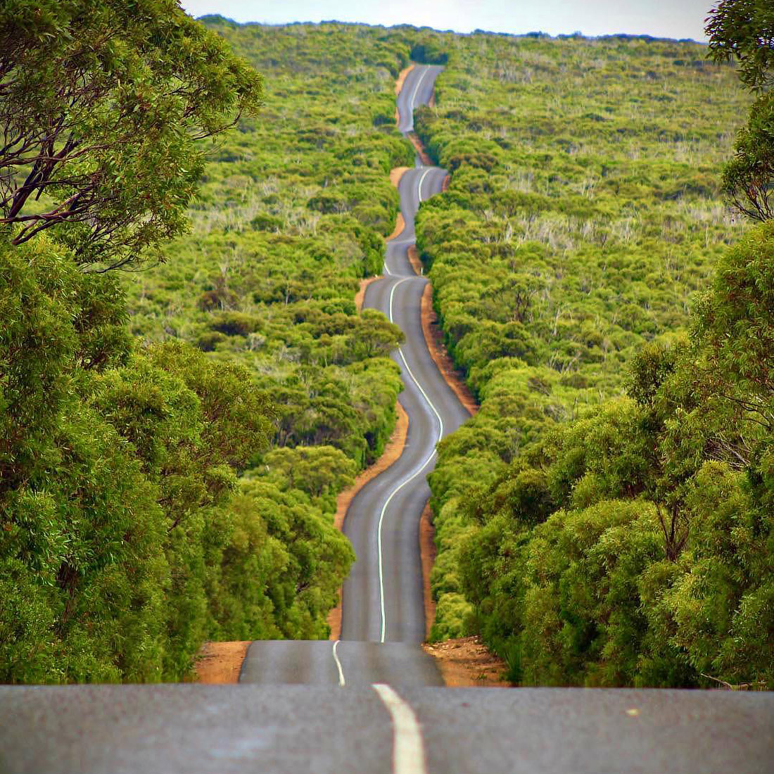 Cape du Couedic Road, Kangaroo Island by @ajcx89