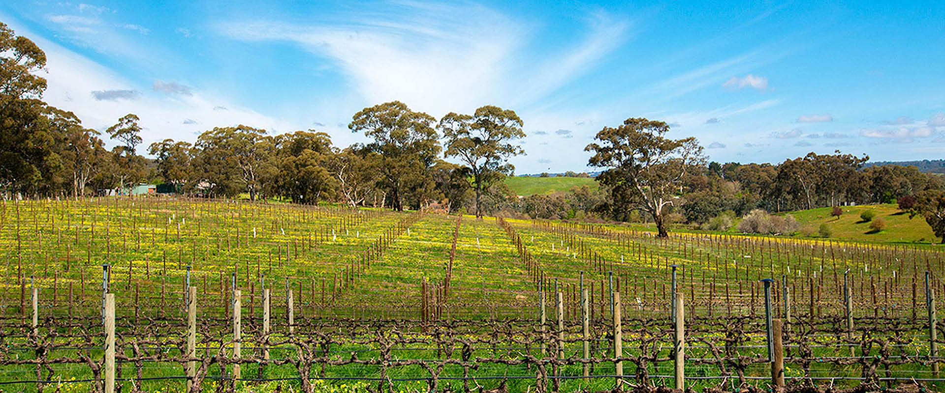 Visit Hahndorf & Things To Do SA Tourism Sout...