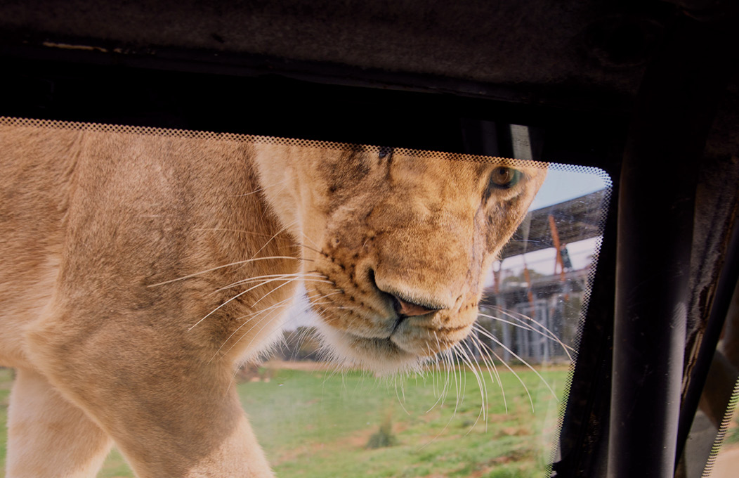 Best of South Australia