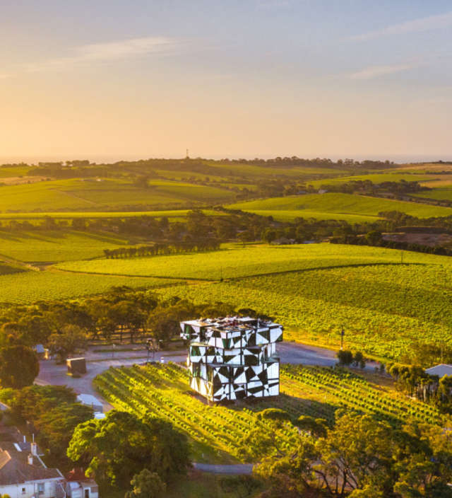 Best winery experiences in South Australia