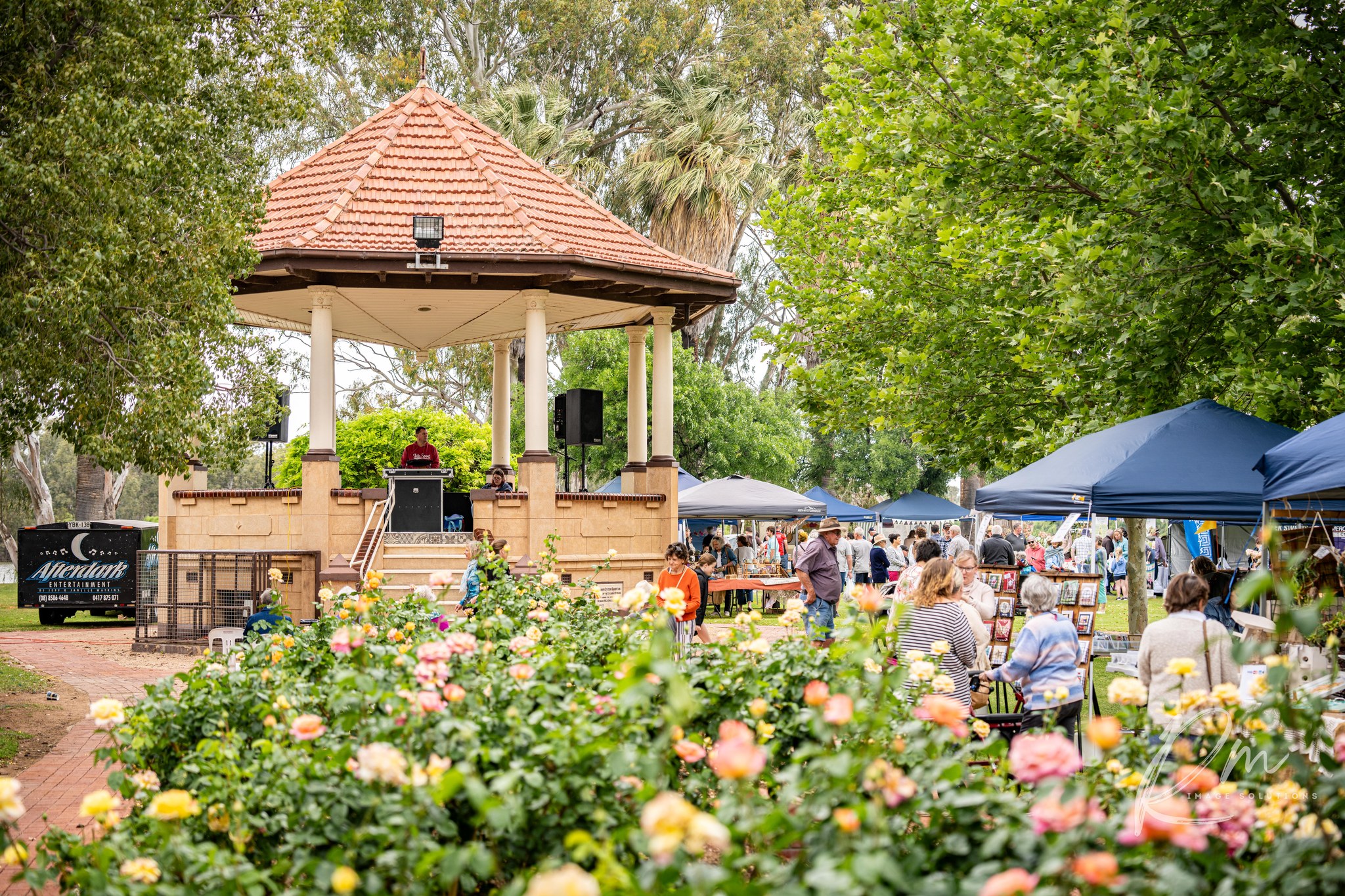 A vibrant park scene with blooming roses in the foreground, a red-roofed gazebo hosting a speaker, and market stalls surrounded by people under shady trees.