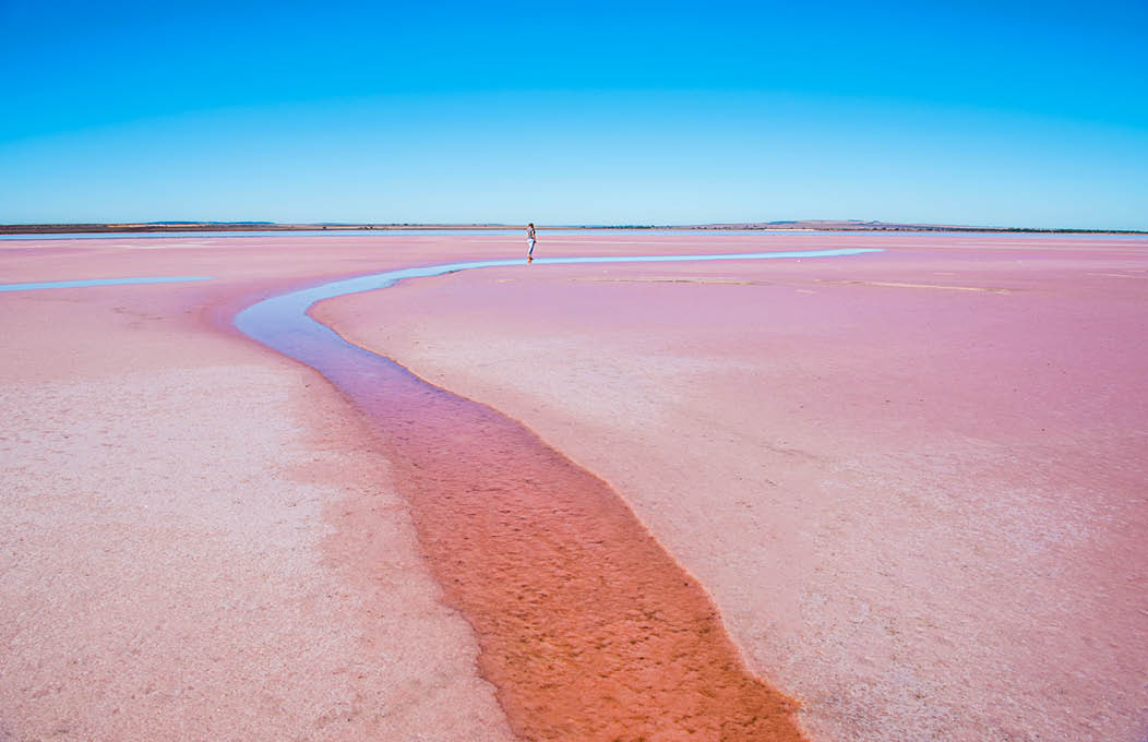 Clare Valley Attractions & Places To Go SA Tourism