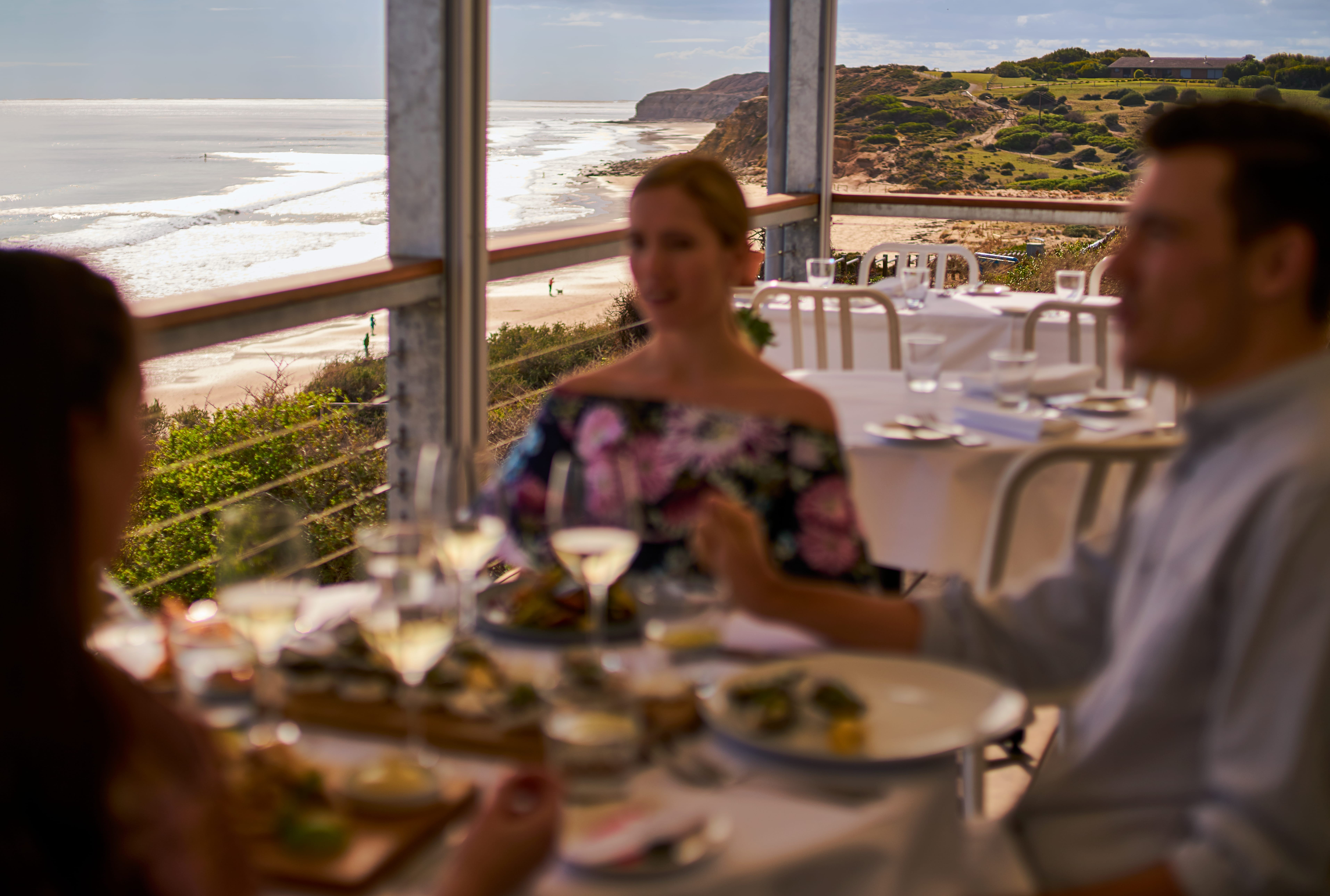 Terms and Conditions