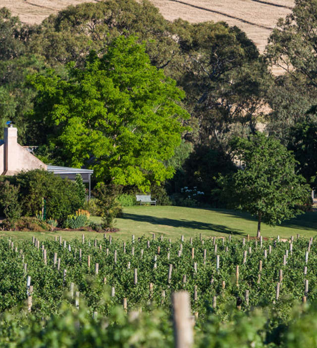 Accommodation in the Barossa