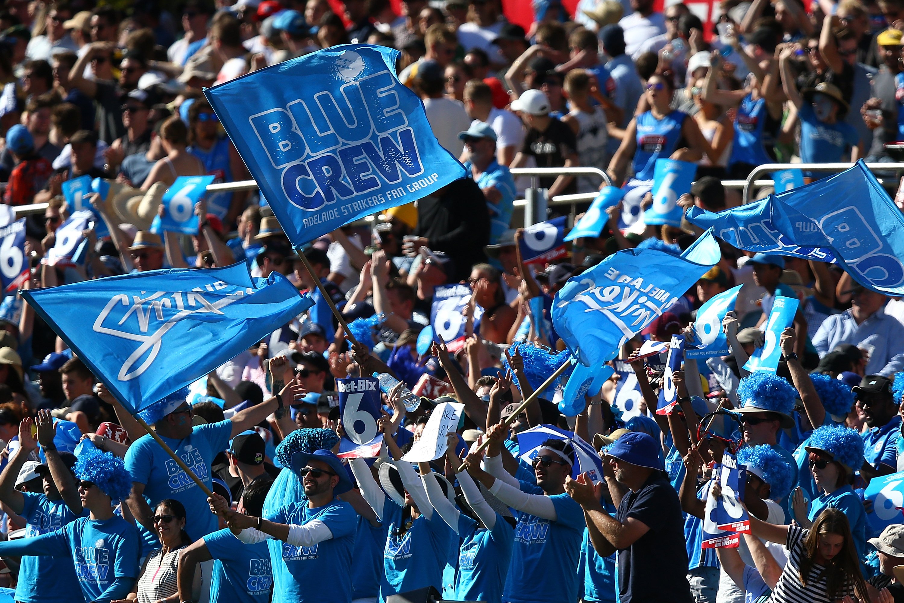 fans in stadium waving blue adelaide strikers flags and signs