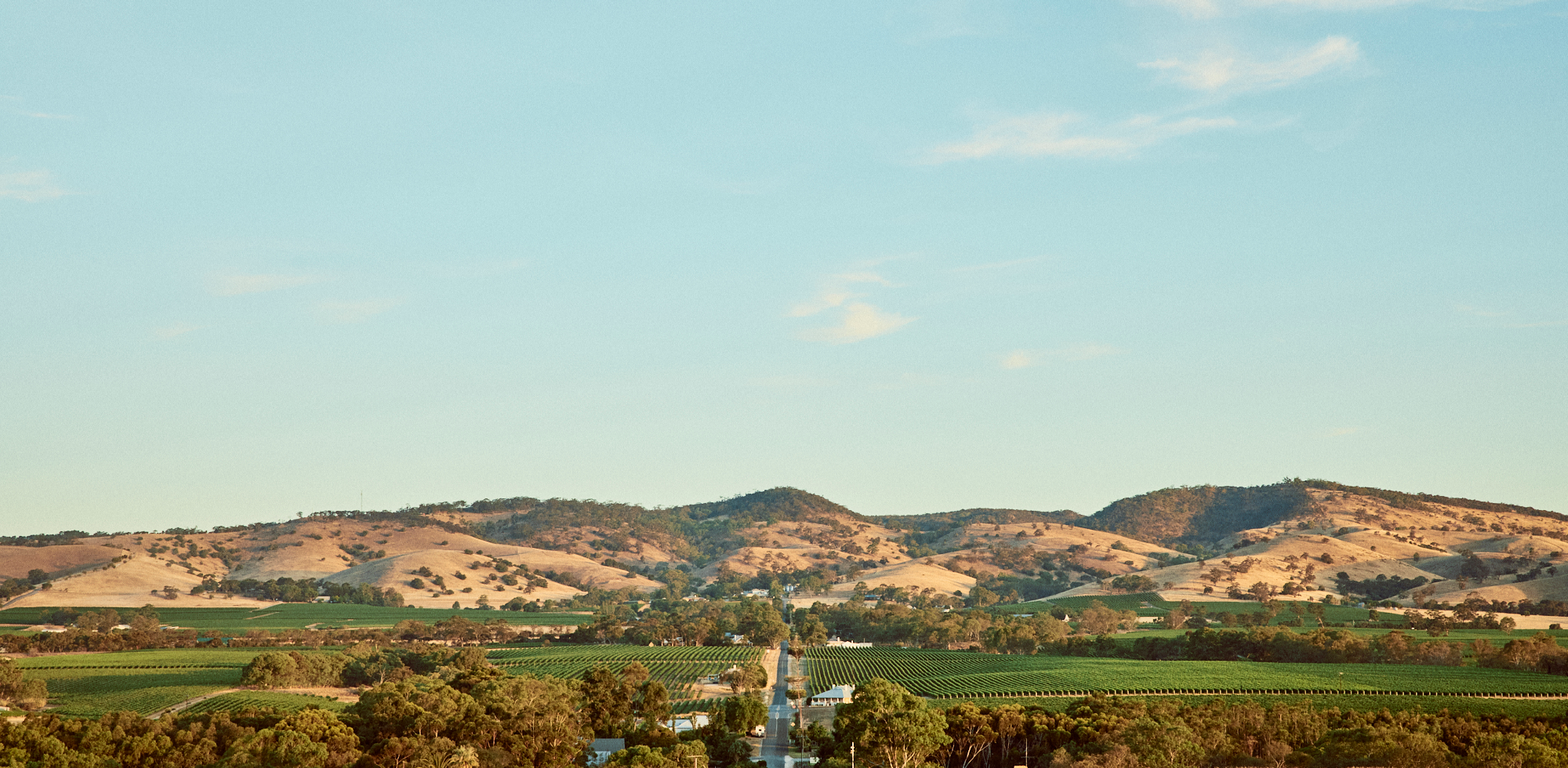 view of Barossa with the Ranges in the background
