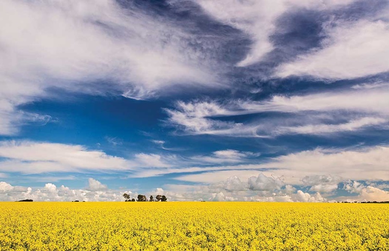 Outdoors activities and things to do in the Clare Valley