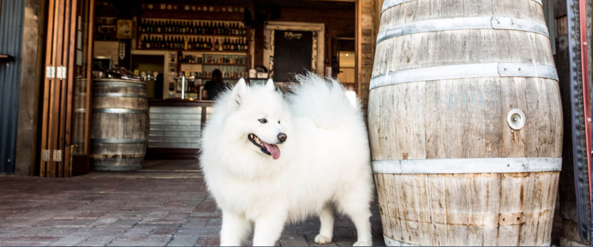 Smiling Samoyed Brewery, Myponga