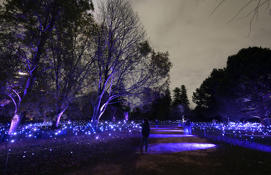 City Lights | Illuminate Adelaide 2025