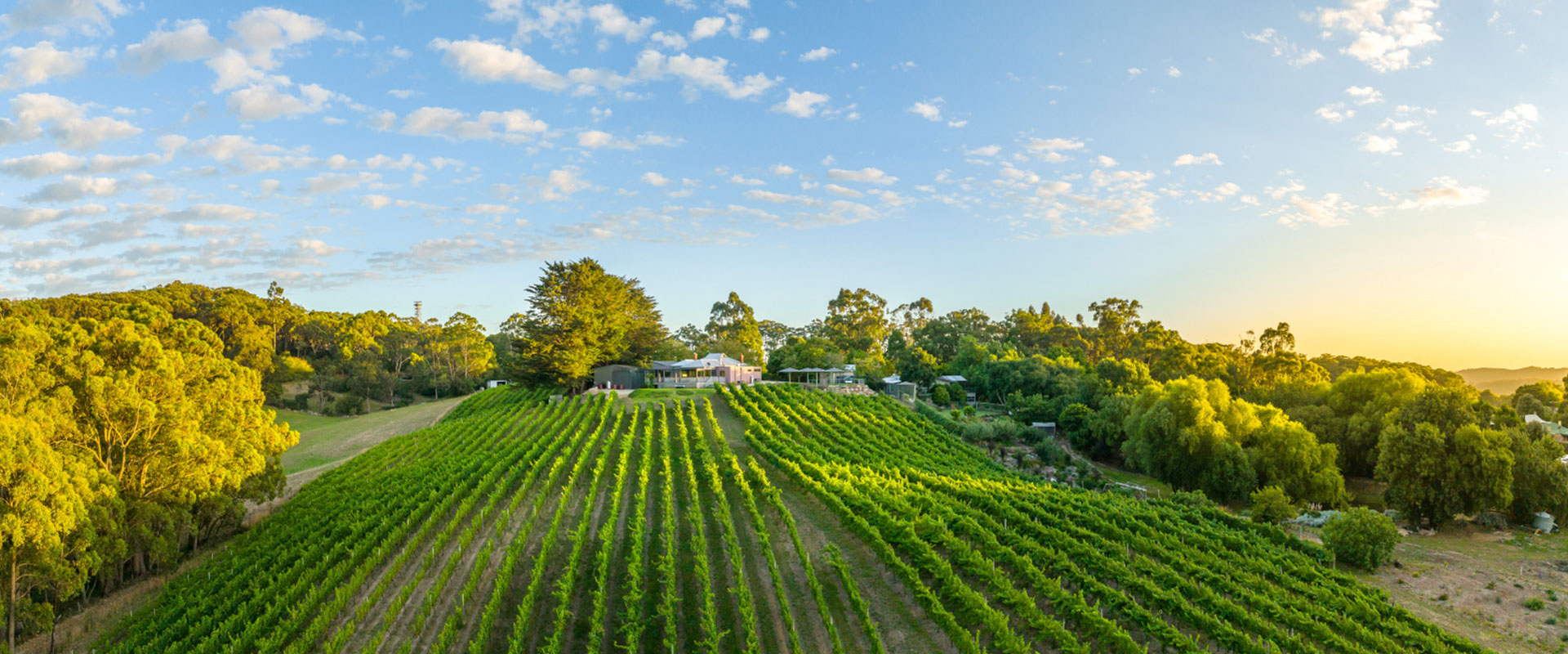 Our guide to the best Adelaide Hills wineries pubs and cellar do