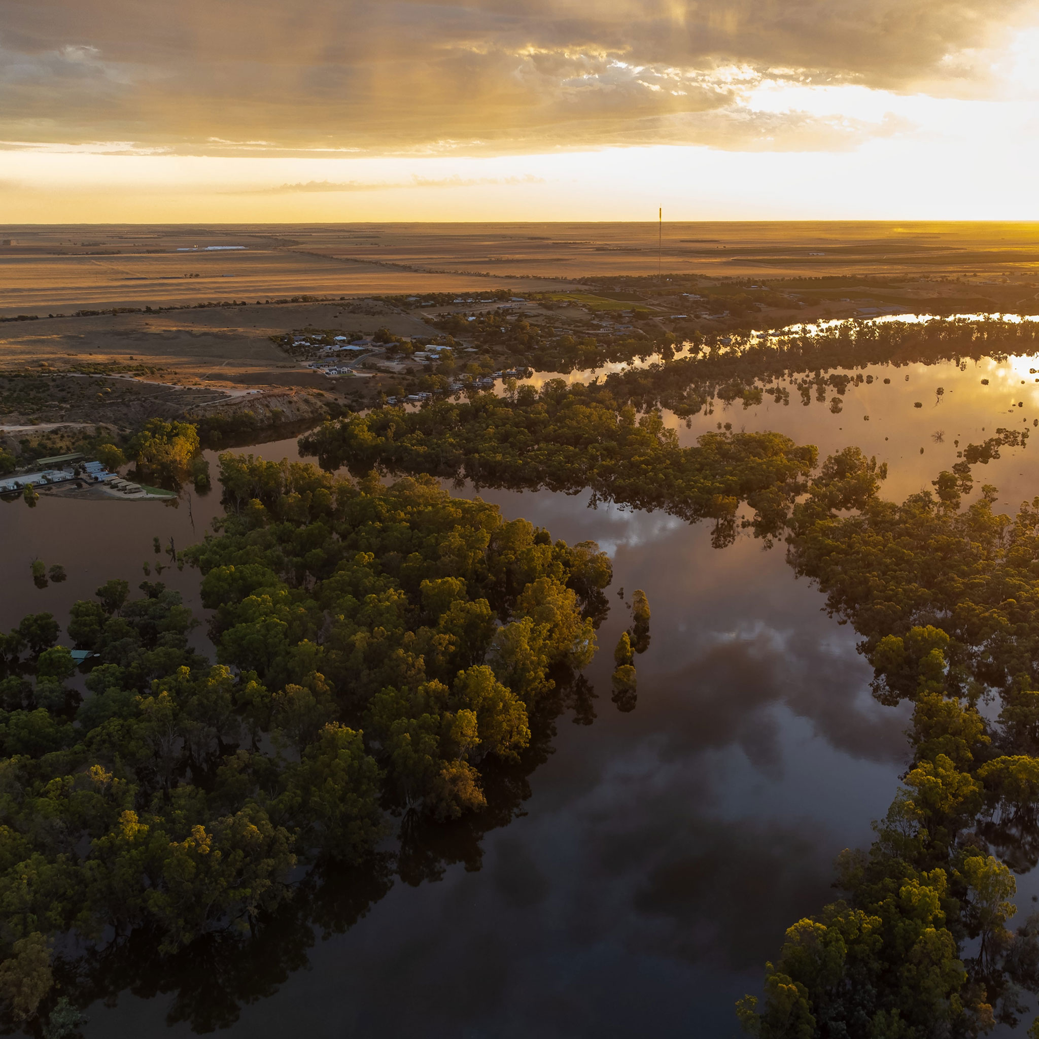 Mighty Murray Way Road Trip