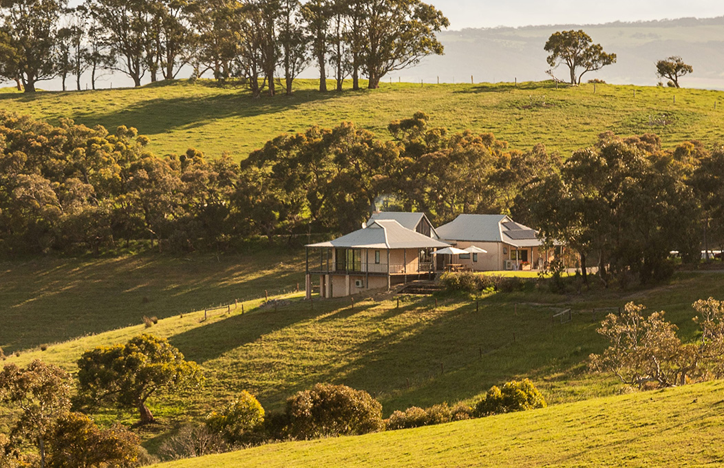 Holiday house overlooking green hills