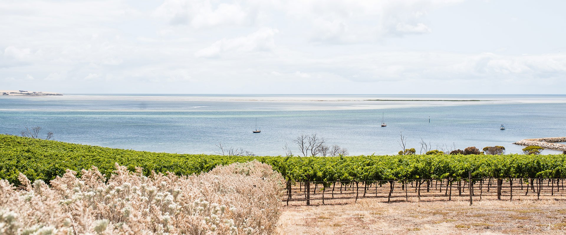 BayofShoalsKIbyMeaghanColes