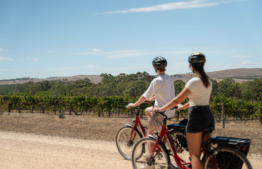 Sports and recreation in the Clare Valley
