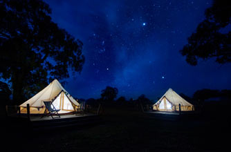 Bellwether Wines, Limestone Coast