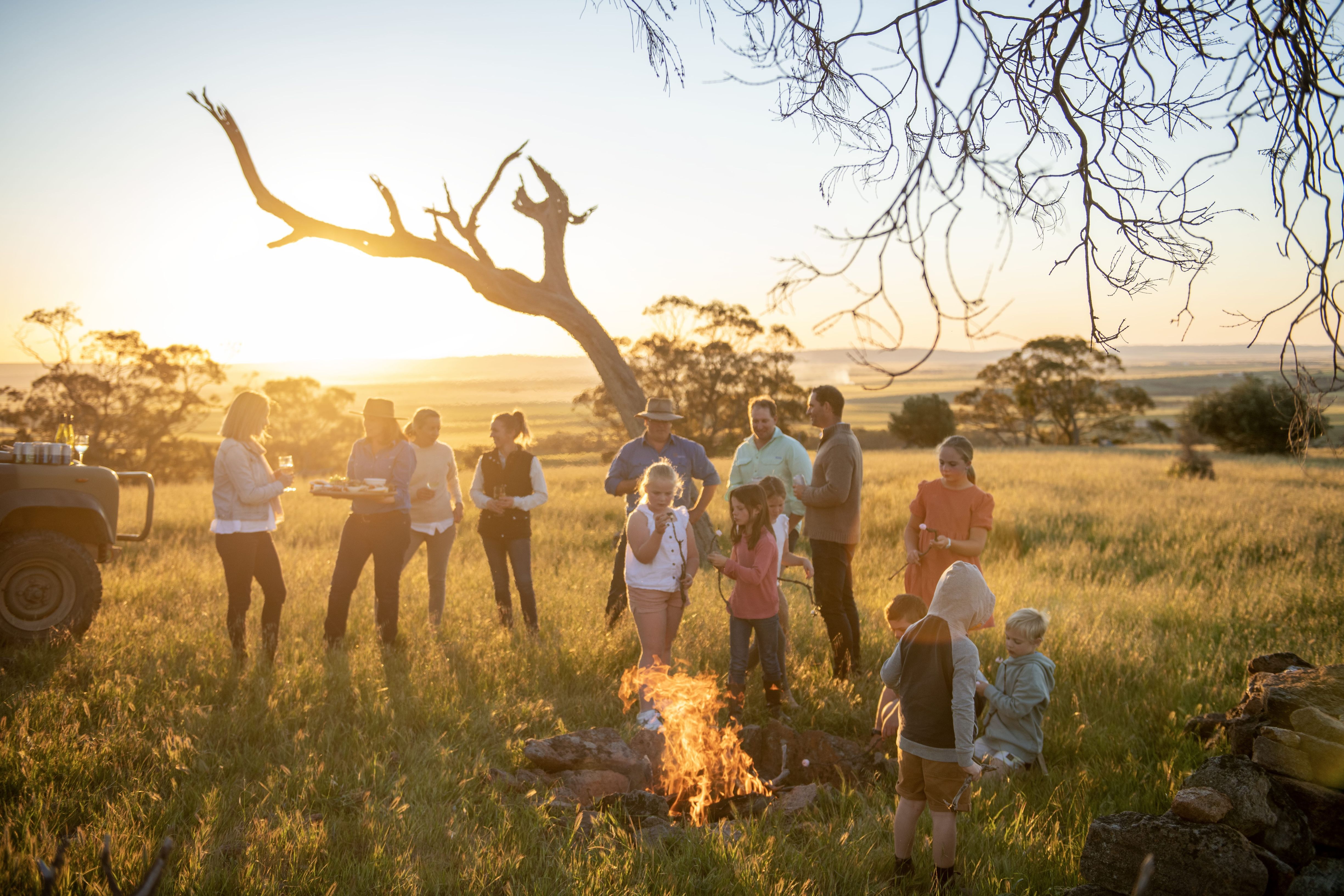 Kids and family activities in the Clare Valley