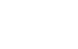 Swain Logo