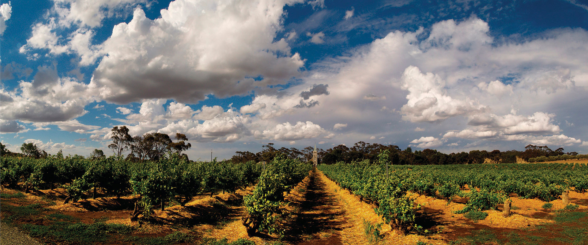 Eden Valley wineries and cellar doors South Australia