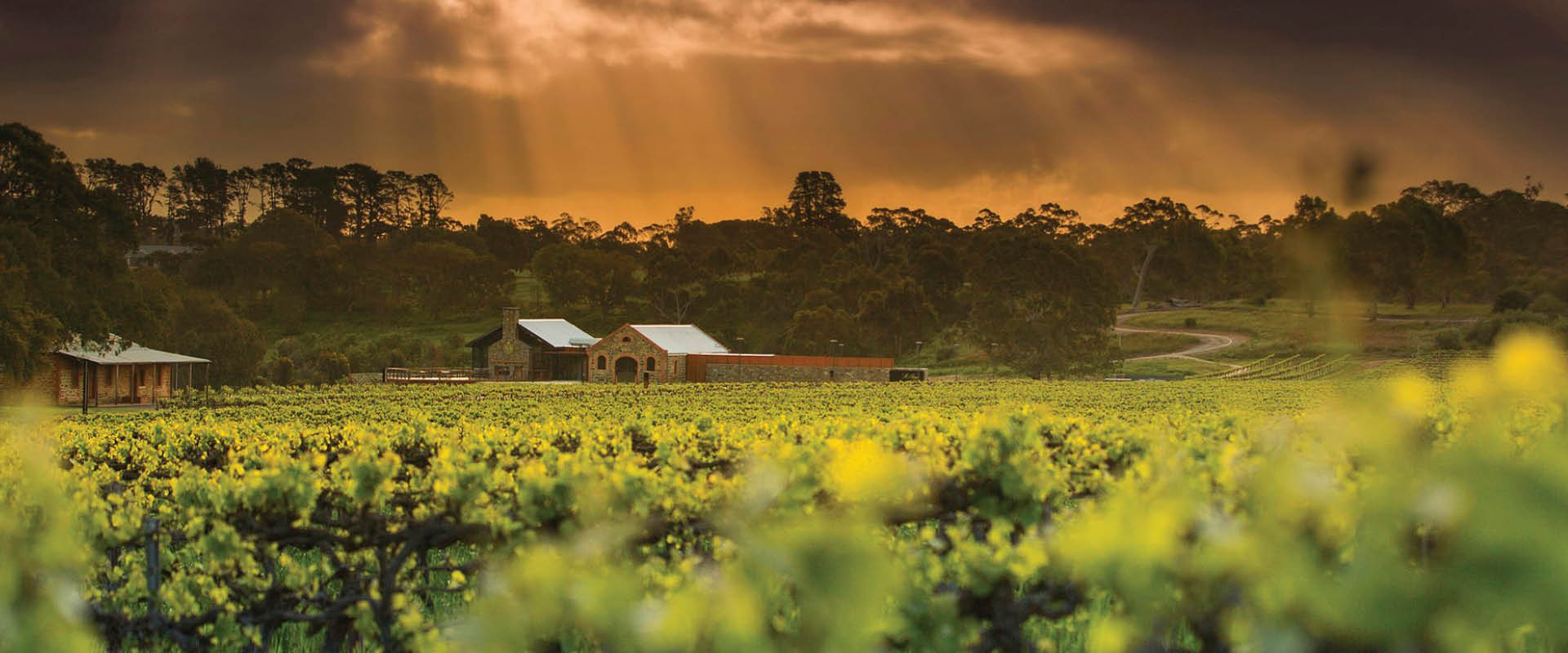 Our guide to the Barossa Valley s top wineries and cellar doors