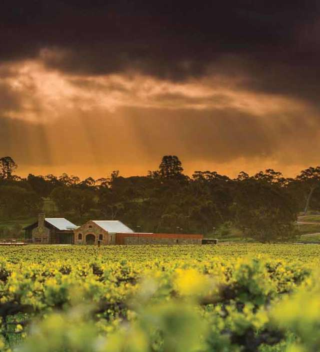 South Australia's top wine regions