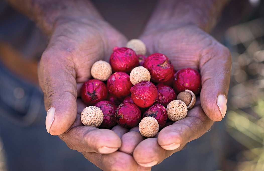 Outdoor activities and things to do in the Flinders Ranges and Outback