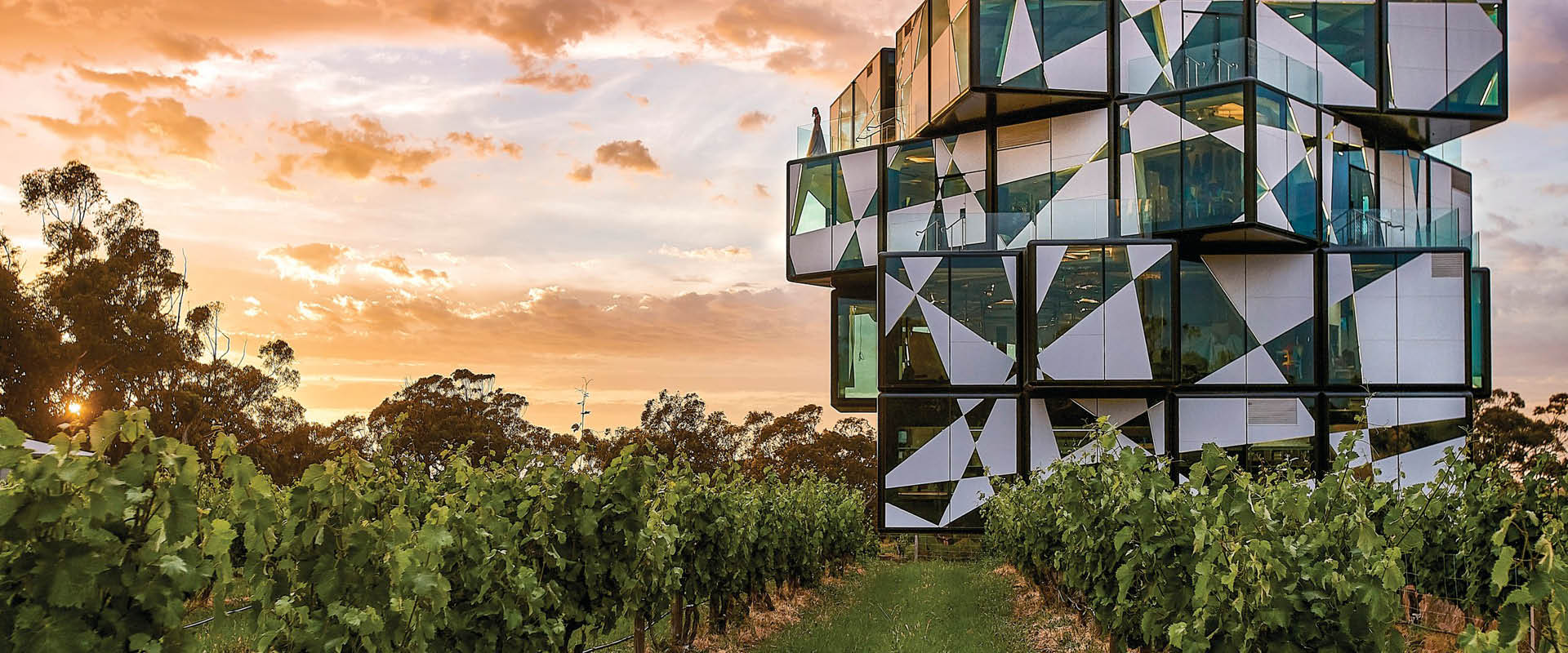 Best McLaren Vale Wineries Cellar Doors South Australia