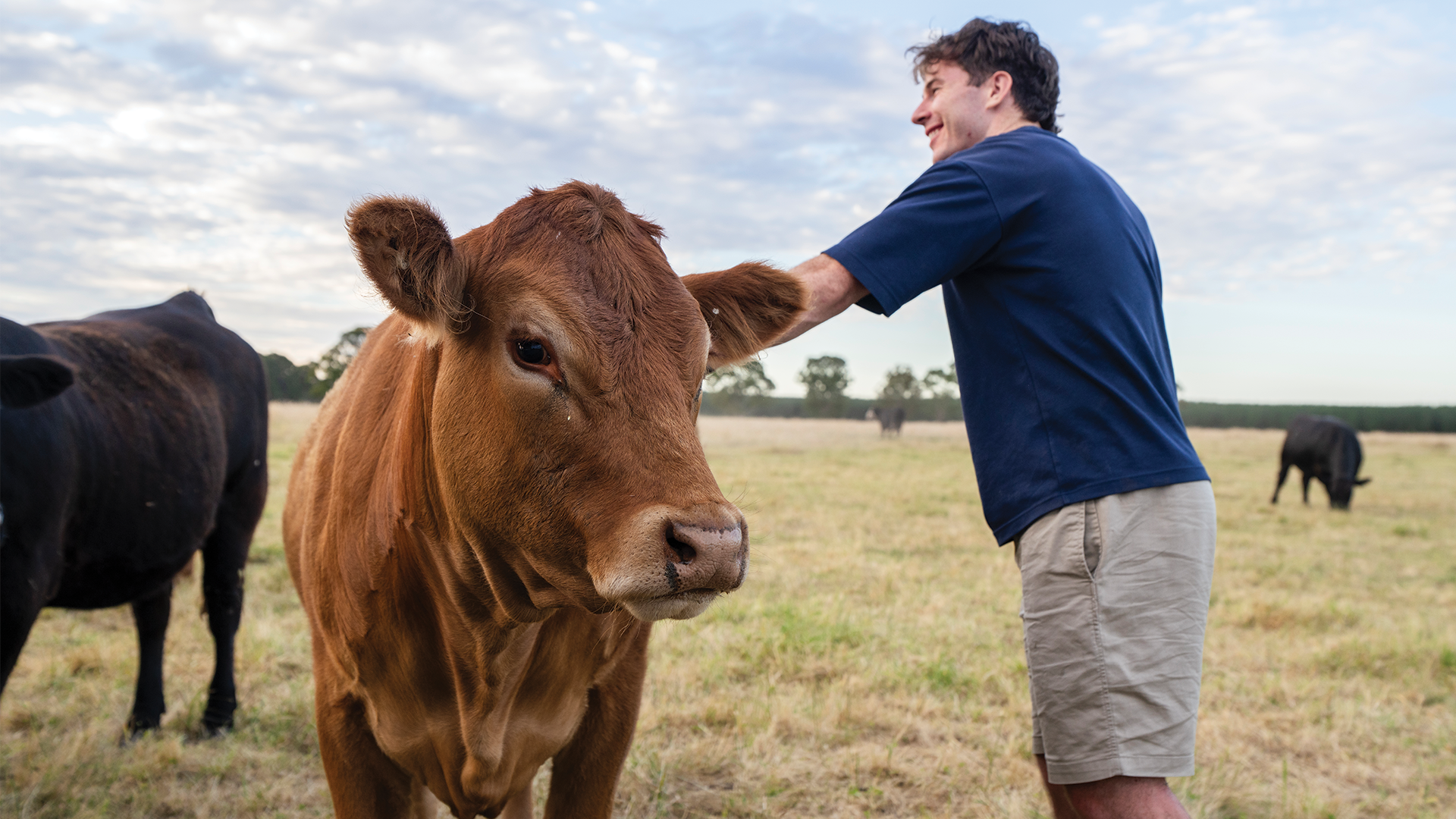 Jack Higgins | Limestone Coast