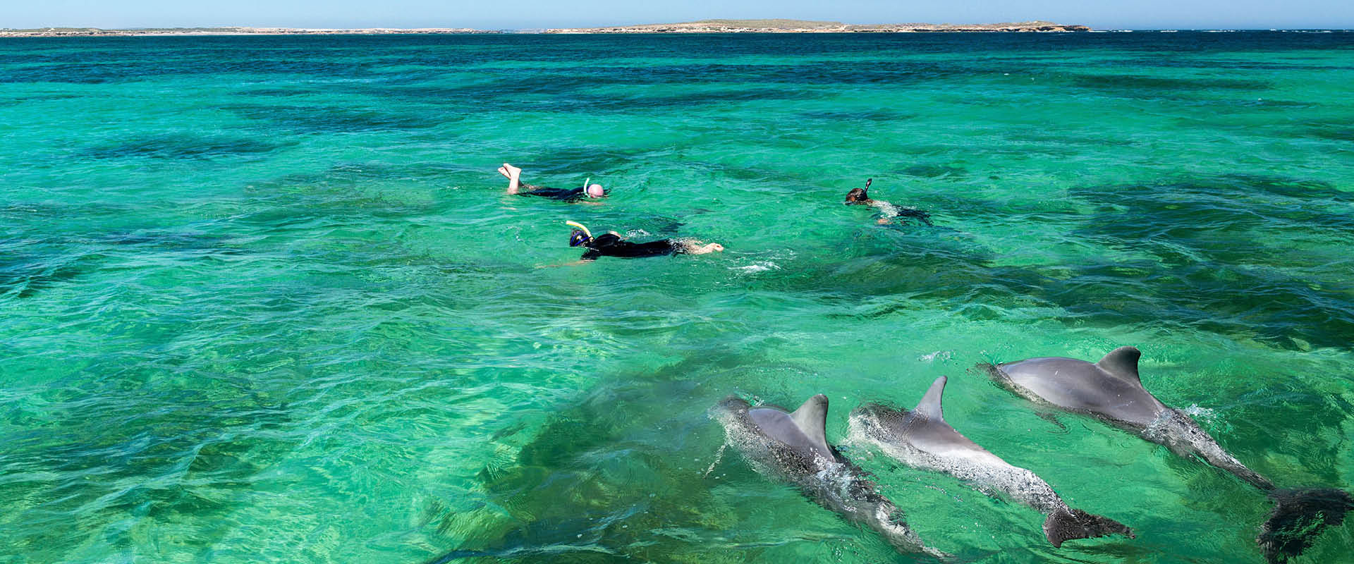 Baird Bay, Eyre Peninsula